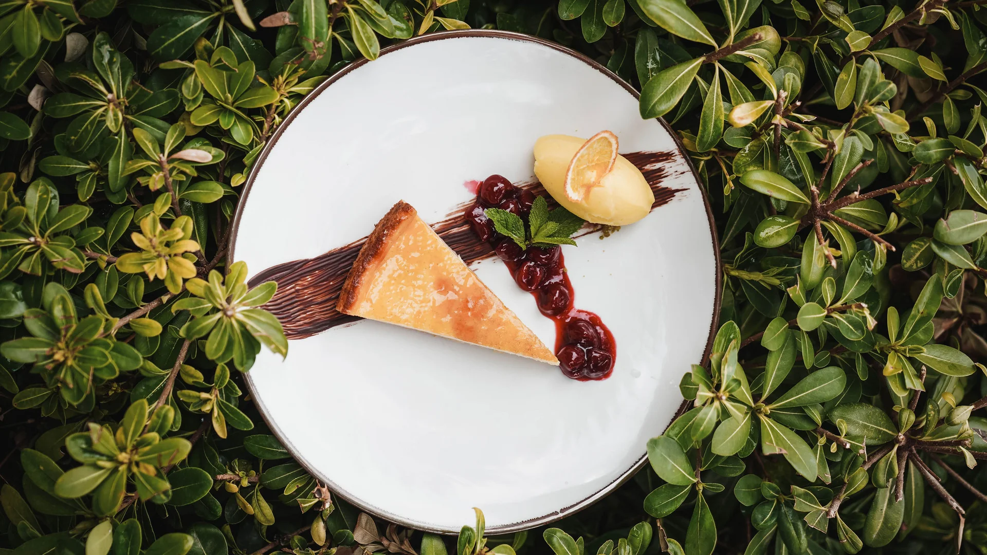 Impressionen in #echtzeit Käsekuchen mit Kirschen, Eis und Minze auf einem weißen Teller in grünen Blättern