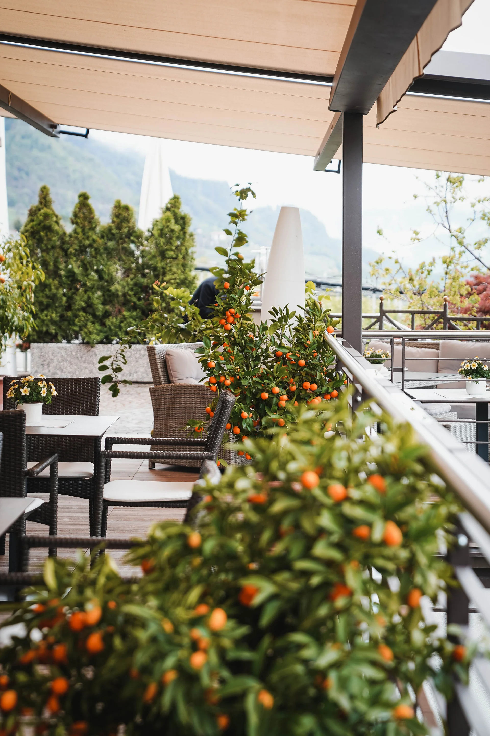 Das Herzstück des Kröll: unsere Bar und Lounge Terrasse mit Sitzbereich, orangenen Fruchtpflanzen und Bergblick