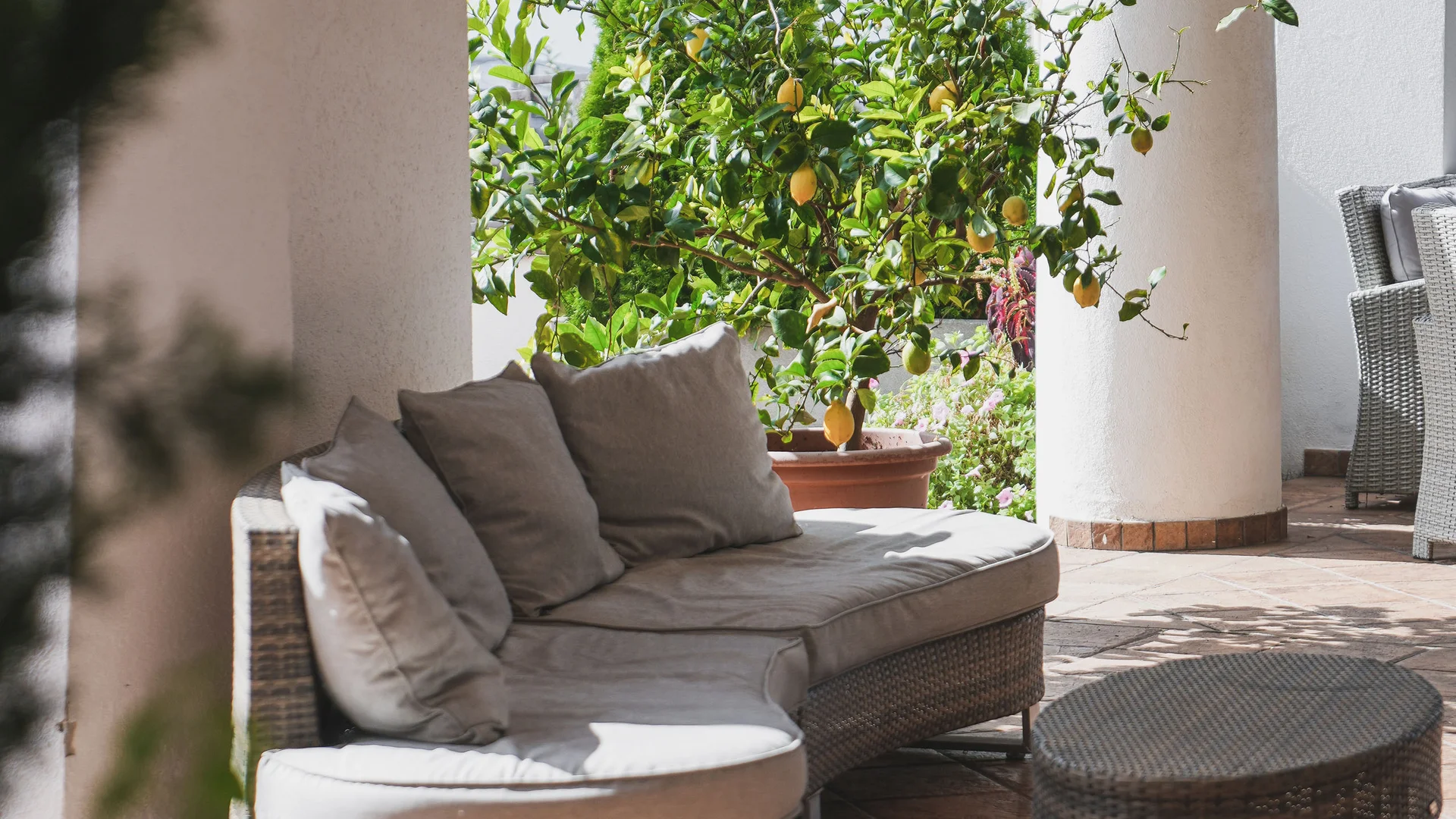 Impressionen in #echtzeit Gemütliche Terrasse mit rundem Sofa und Zitronenbaum in Töpfen