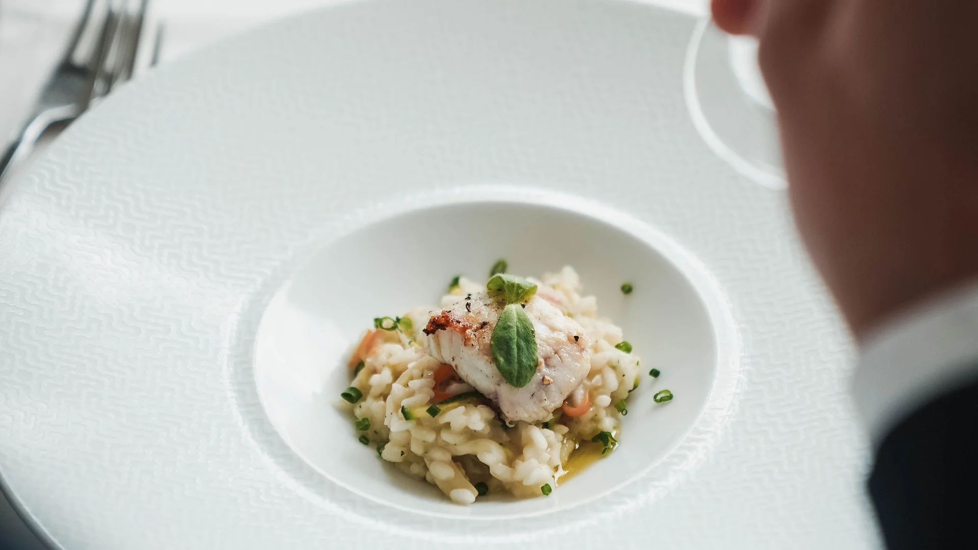 Impressionen in #echtzeit Feines Risotto mit Fischplatte auf einem weißen Teller